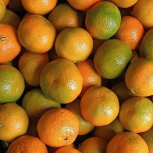Clementine Spinoso Bio