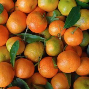 ⁠Clementine Rubino Bio - pallett da 640 kg,da 1000 kg circa