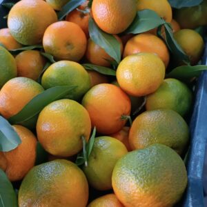 ⁠Clementine Hernandina Bio-pallett da 640kg,Pallett da 1000kg(prezzo franco partenza)